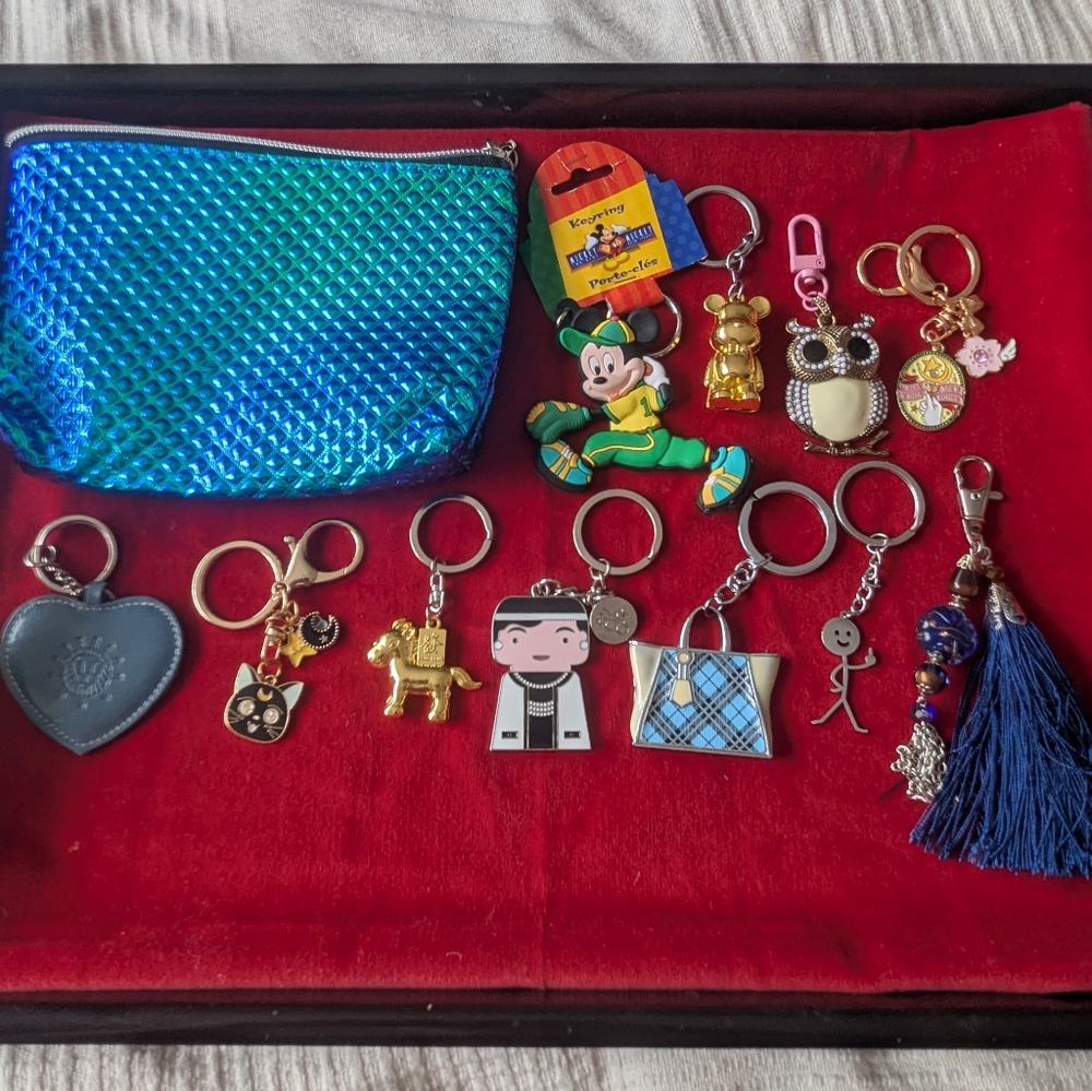 Bundle Of Keychains + Pouch - Picture 1 of 4